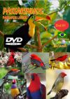 DVD 01 - P�ssaros Livres - Sons P�ssaros Brasil